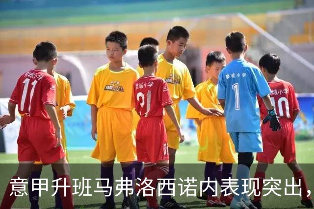 意甲升班马弗洛西诺内表现突出，跻身联赛前列分析
